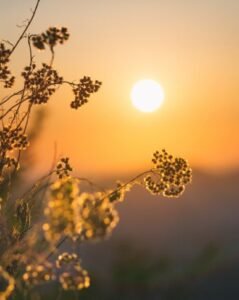 Taller astrologia vivencial AUREA HOLISTICA