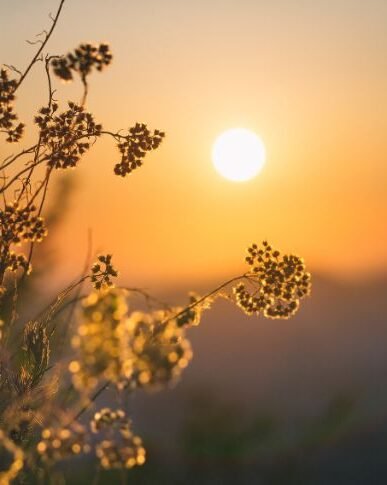 Taller astrologia vivencial AUREA HOLISTICA